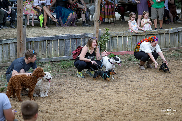 2023-Jousting-101
