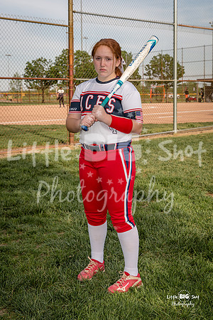 4-BatReady2Swing-Serious