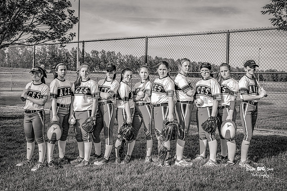 STL-Aces-Serious-BW