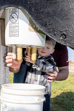 WillMilkingCow