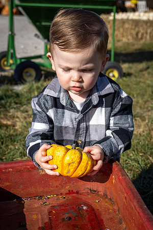 WillsLittlePumpkin