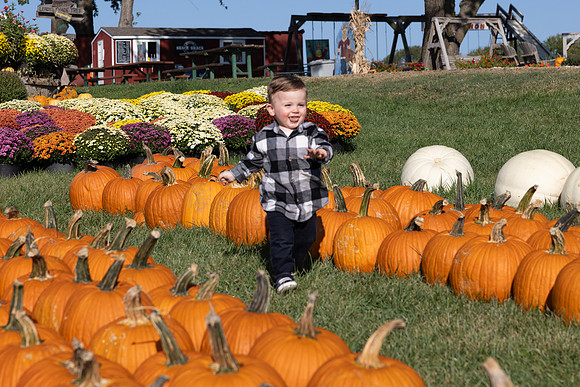 WillRunningInPumpkins