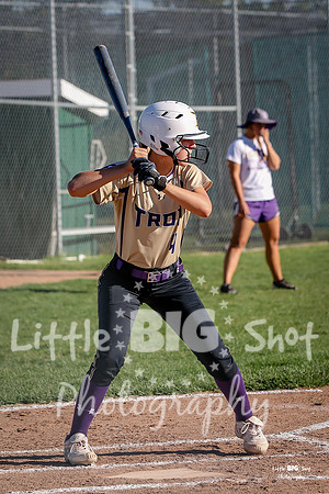 4-AtBat