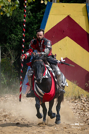 RenFaire-21