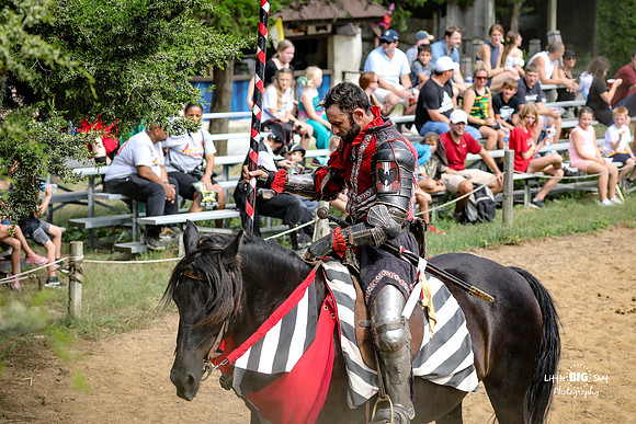 RenFaire-24
