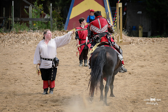 RenFaire-25