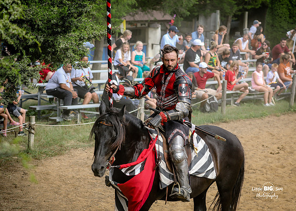 RenFaire-24two