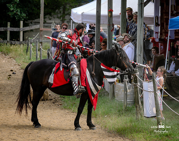 RenFaire-30