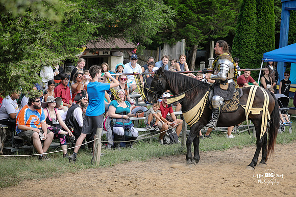 RenFaire-31