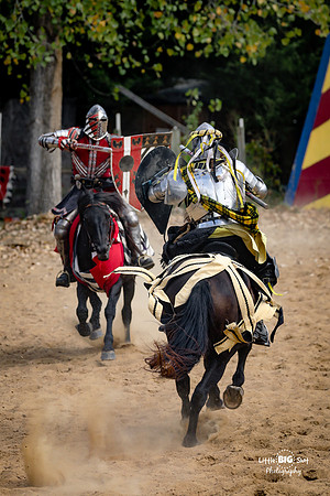 RenFaire-38