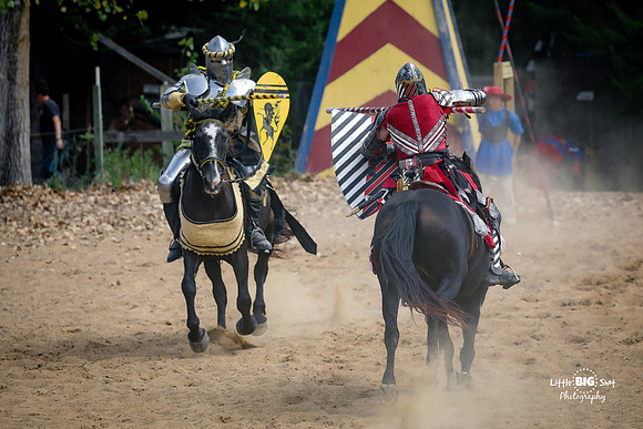 RenFaire-39