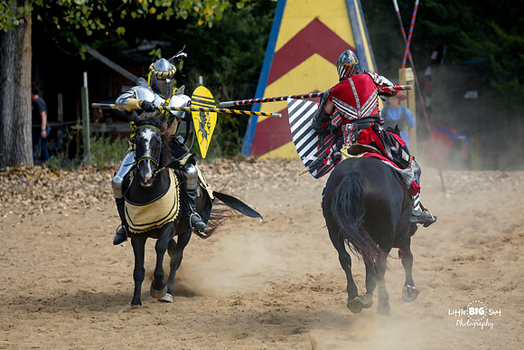 RenFaire-40