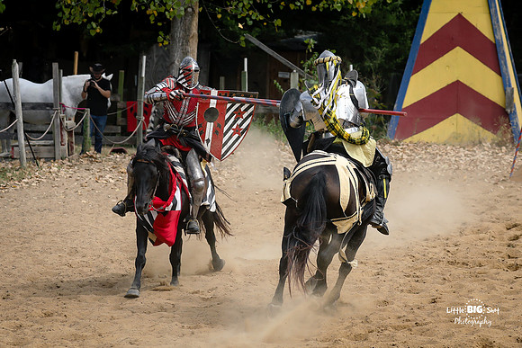 RenFaire-44