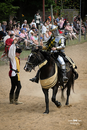 RenFaire-45