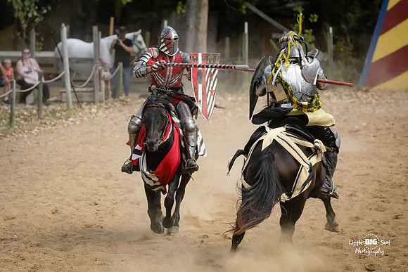 RenFaire-43