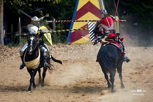 RenFaire-41