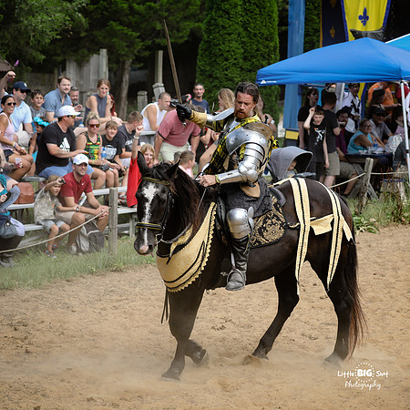 RenFaire-46