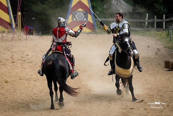 RenFaire-47