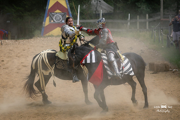 RenFaire-48
