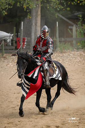 RenFaire-52