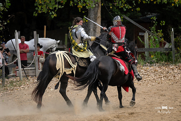 RenFaire-51