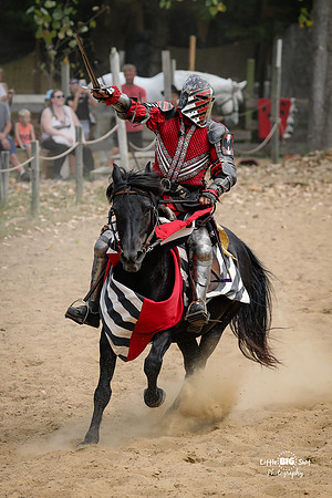 RenFaire-53