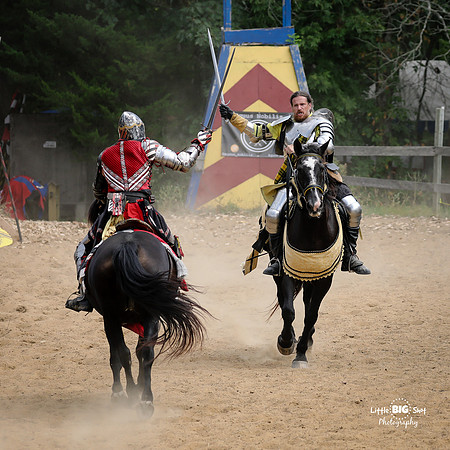 RenFaire-54