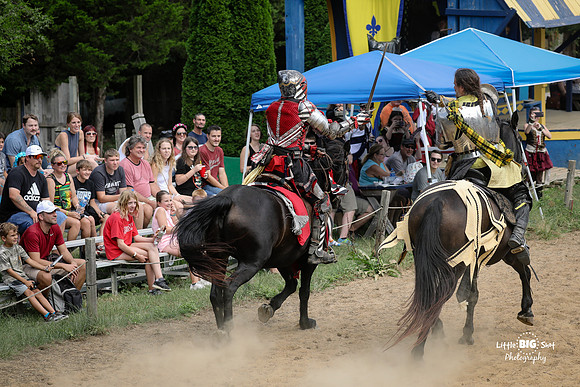 RenFaire-50