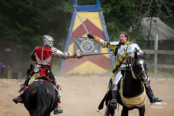 RenFaire-55