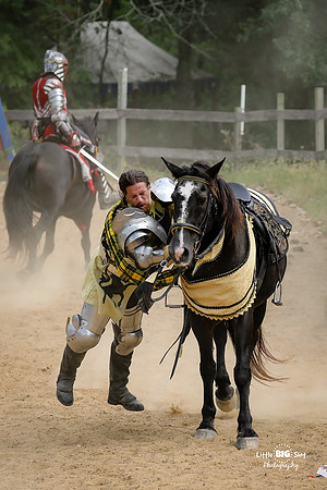 RenFaire-57