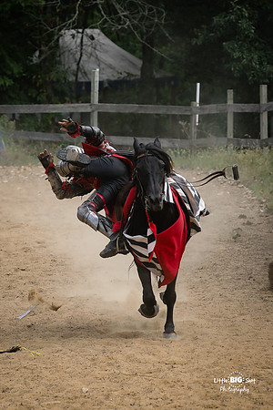 RenFaire-61