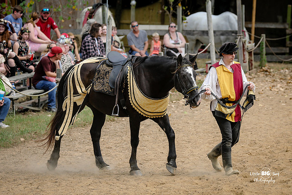 RenFaire-76