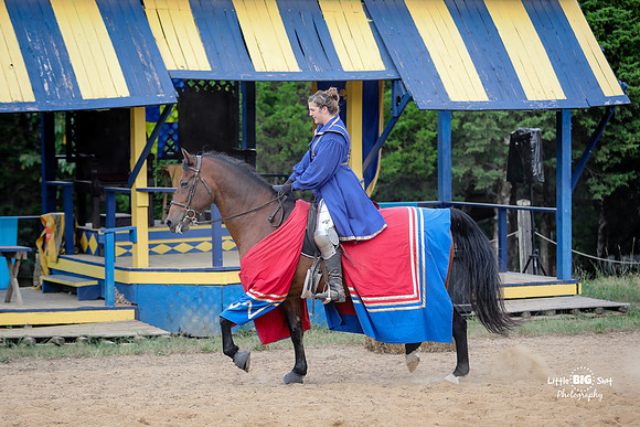 RenFaire-118