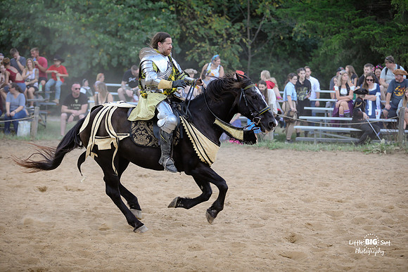 RenFaire-134
