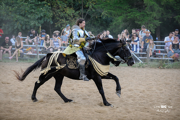 RenFaire-135
