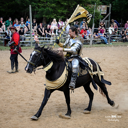 RenFaire-144a
