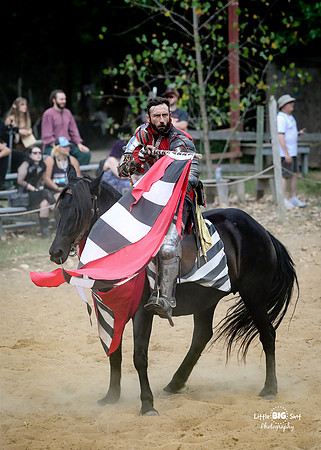 RenFaire-147