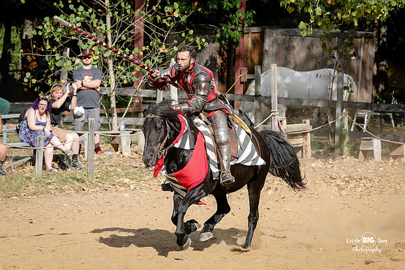 RenFaire-150