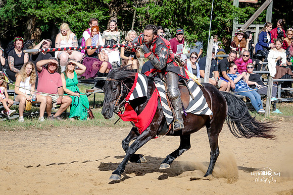 RenFaire-151