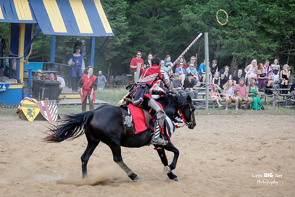 RenFaire-156