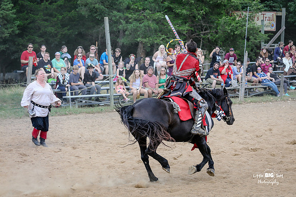 RenFaire-157