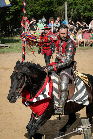 RenFaire-161