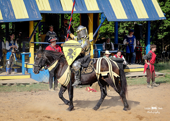 RenFaire-174