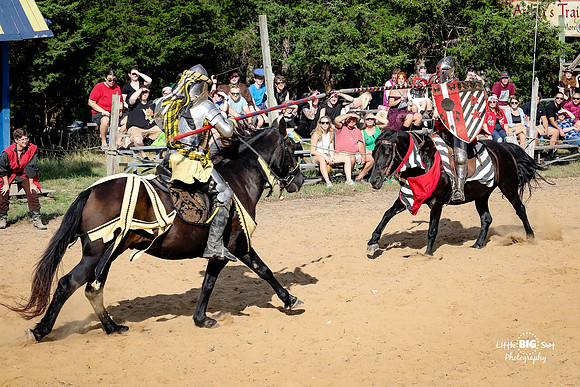 RenFaire-175