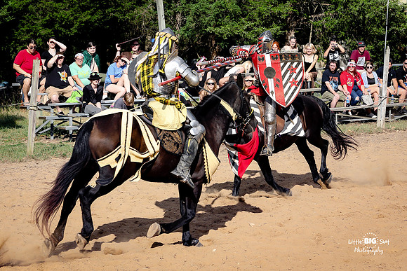 RenFaire-176