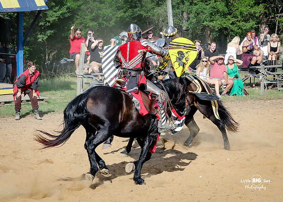 RenFaire-179