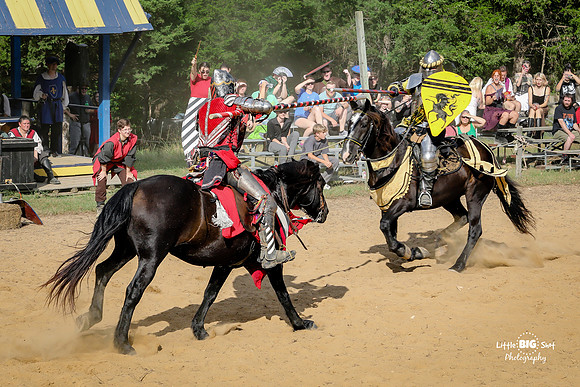 RenFaire-178