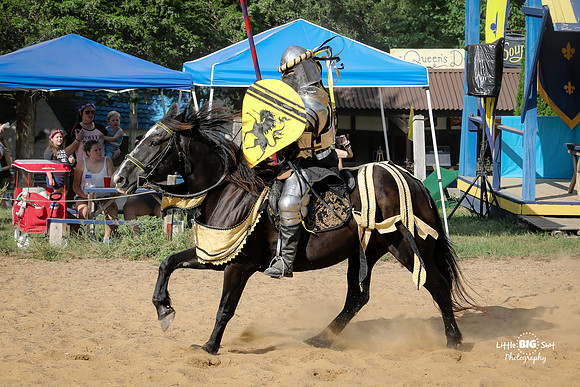 RenFaire-180