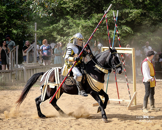 RenFaire-181