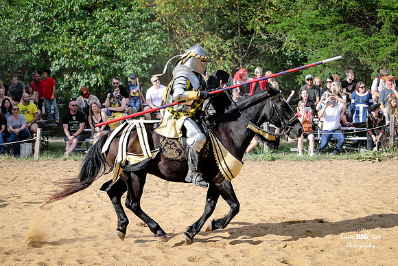 RenFaire-182